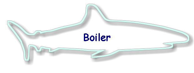 Boiler