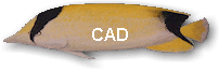 CAD