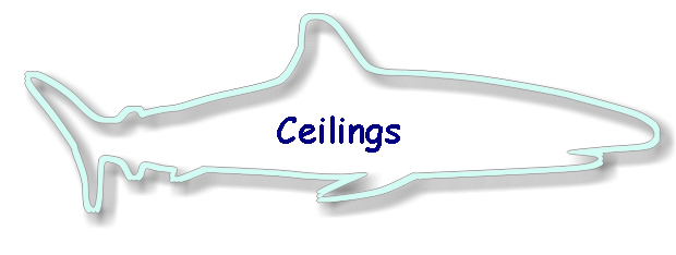 Ceilings